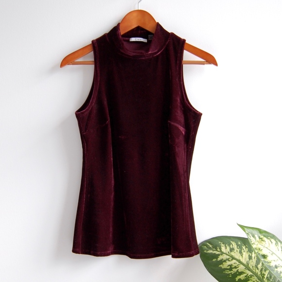 NWOT Dex Velour Mock Neck XS - Picture 1 of 2